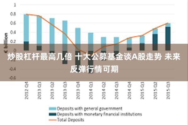 炒股杠杆最高几倍 十大公募基金谈A股走势 未来反弹行情可期