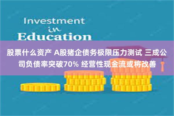 股票什么资产 A股猪企债务极限压力测试 三成公司负债率突破70% 经营性现金流或将改善