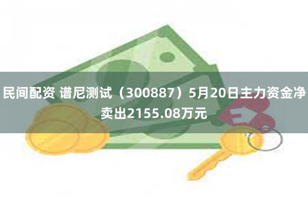 民间配资 谱尼测试（300887）5月20日主力资金净卖出2155.08万元