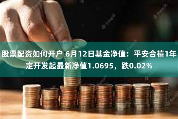 股票配资如何开户 6月12日基金净值：平安合禧1年定开发起最新净值1.0695，跌0.02%