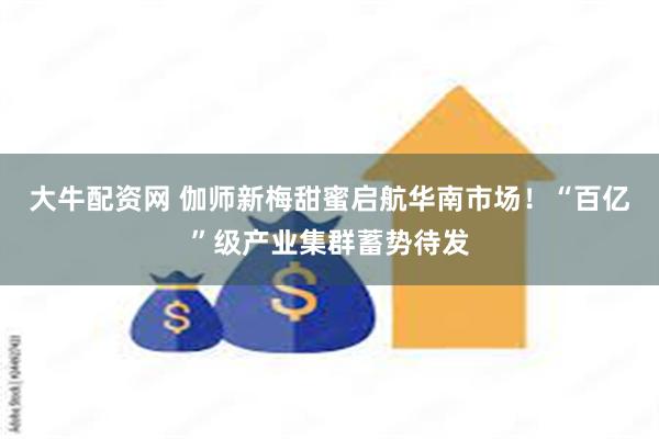 大牛配资网 伽师新梅甜蜜启航华南市场！“百亿”级产业集群蓄势待发