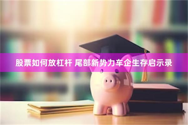 股票如何放杠杆 尾部新势力车企生存启示录