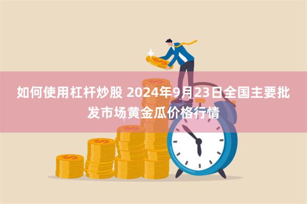 如何使用杠杆炒股 2024年9月23日全国主要批发市场黄金瓜价格行情