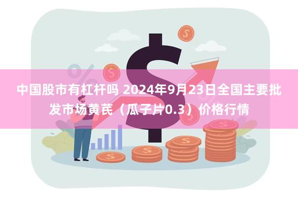 中国股市有杠杆吗 2024年9月23日全国主要批发市场黄芪（瓜子片0.3）价格行情