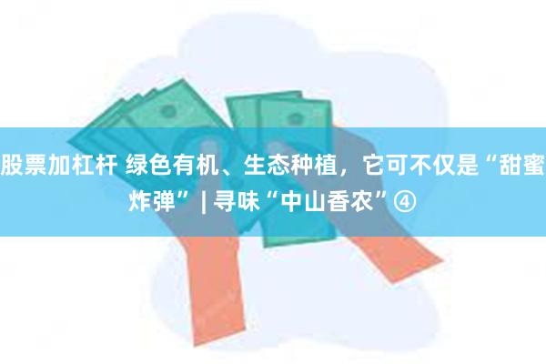 股票加杠杆 绿色有机、生态种植，它可不仅是“甜蜜炸弹” | 寻味“中山香农”④