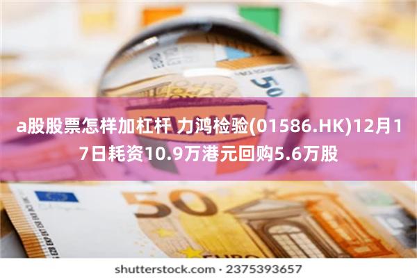 a股股票怎样加杠杆 力鸿检验(01586.HK)12月17日耗资10.9万港元回购5.6万股