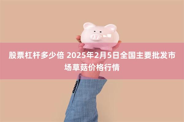 股票杠杆多少倍 2025年2月5日全国主要批发市场草菇价格行情