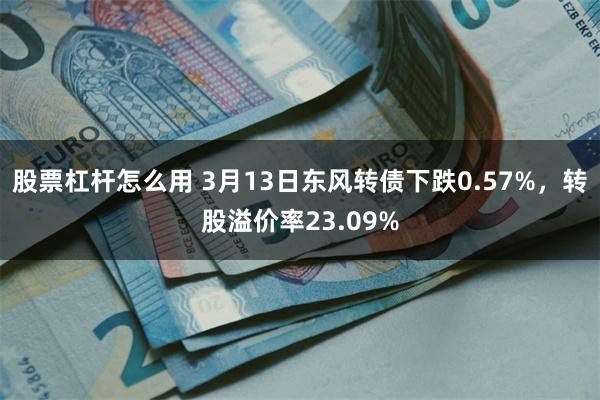 股票杠杆怎么用 3月13日东风转债下跌0.57%，转股溢价率23.09%